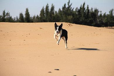 育碧老总看好AI技术开发游戏 会打字就能做游戏